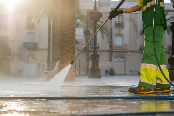 Best Solar Panel Cleaning  in Taft, FL